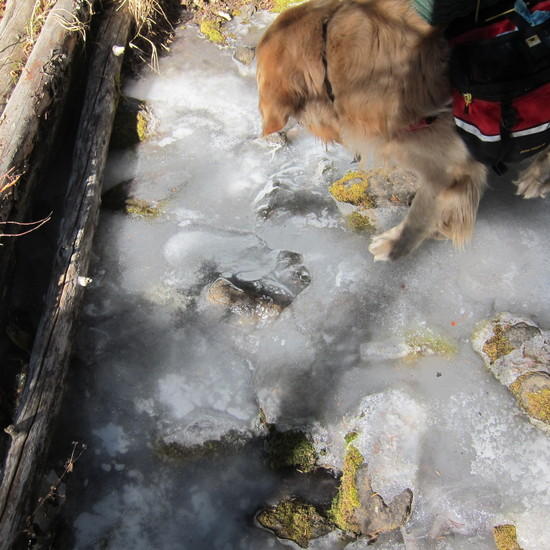 Frozen stream