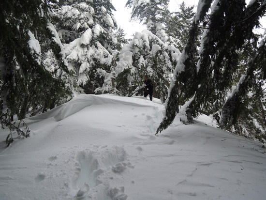teneriffe-1