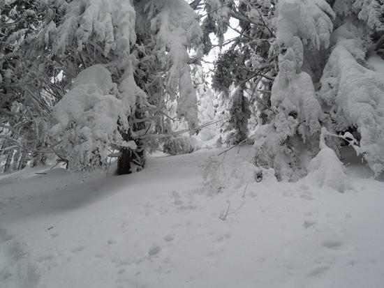 teneriffe-3
