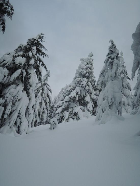 teneriffe-5