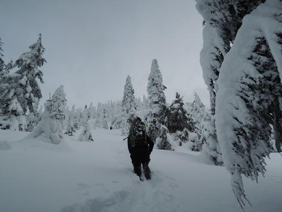 teneriffe-7
