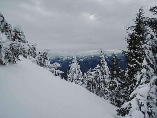 teneriffe-8