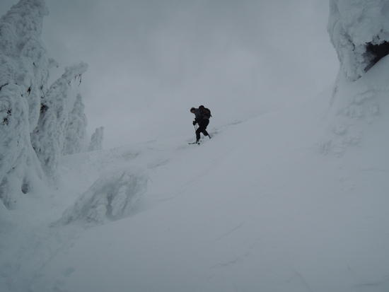 teneriffe-14
