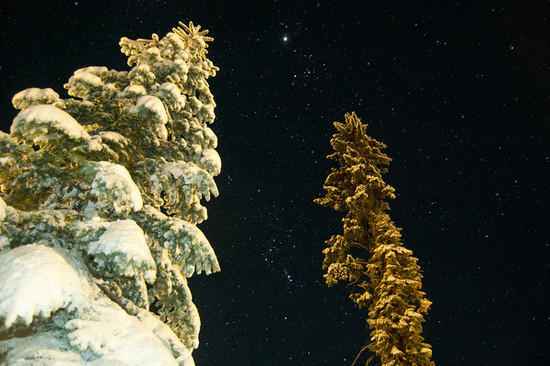 Night Sky