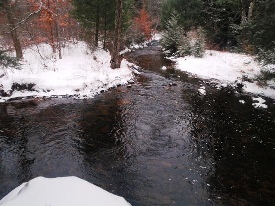 Choke Creek next to campsite