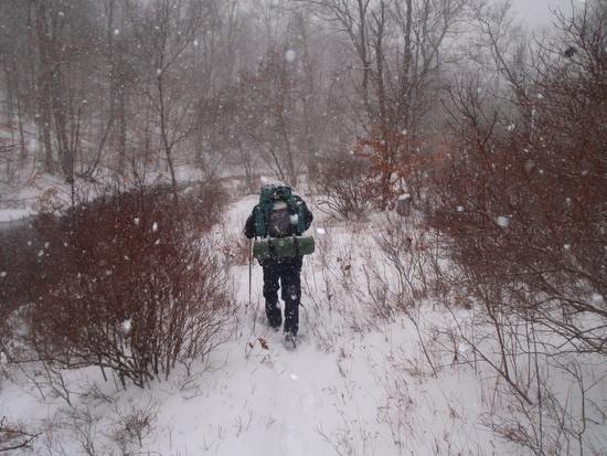 Fresh snow on the hike out