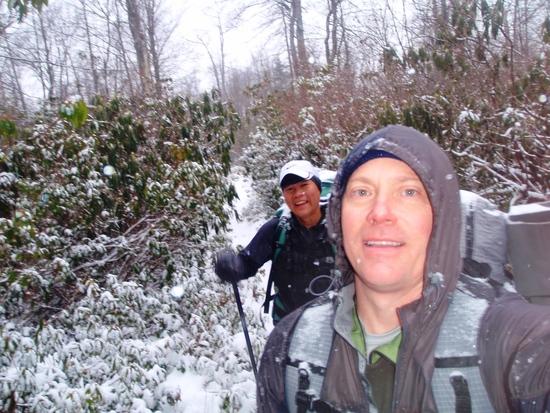 Rhodo tunnels