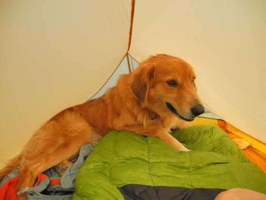 Chuck in the tent