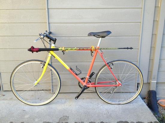 Poles strapped to bike