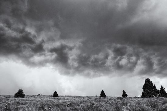 STORM