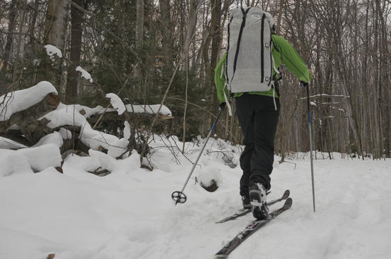 ski