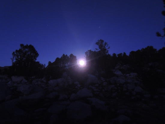 piute-42