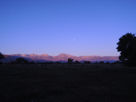 piute-64