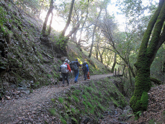HIking In