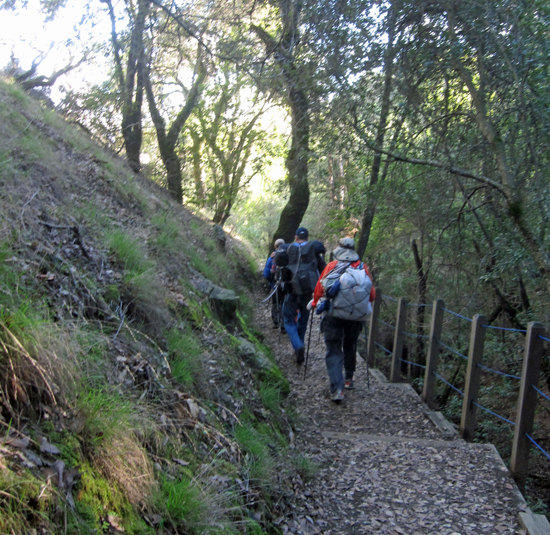 Hiking In 2