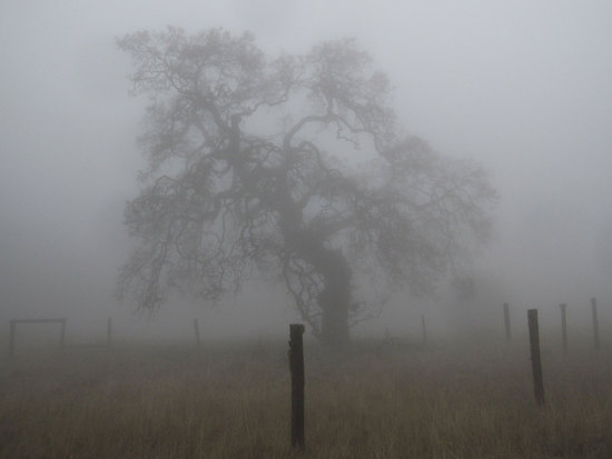 Ghostly World