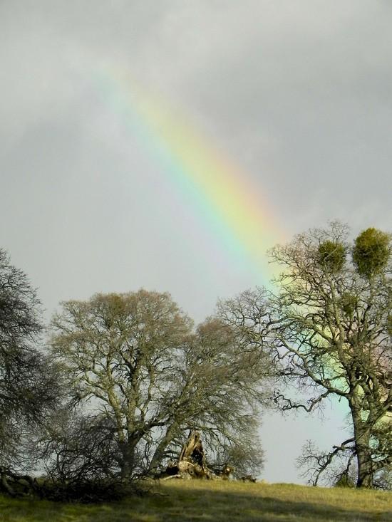 Rainbow, an auspicious beginning