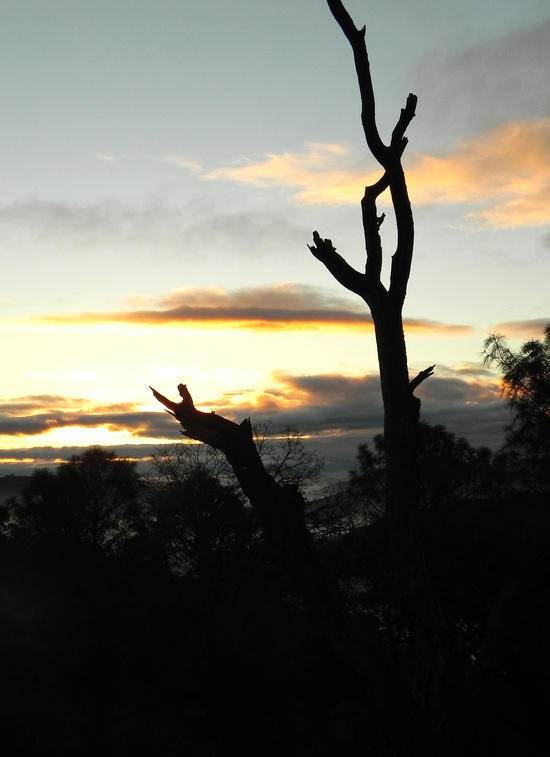 Saturday Morning Sunrise