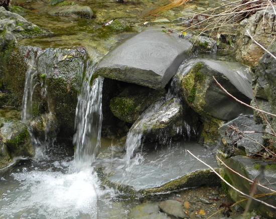Coyote Creek