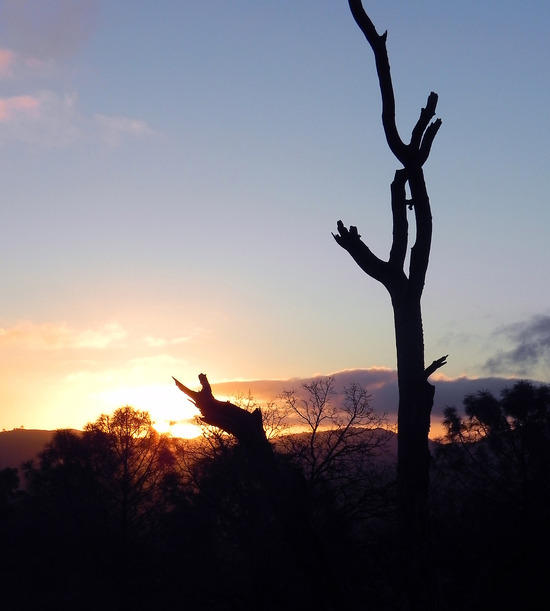 Sunday Sunrise