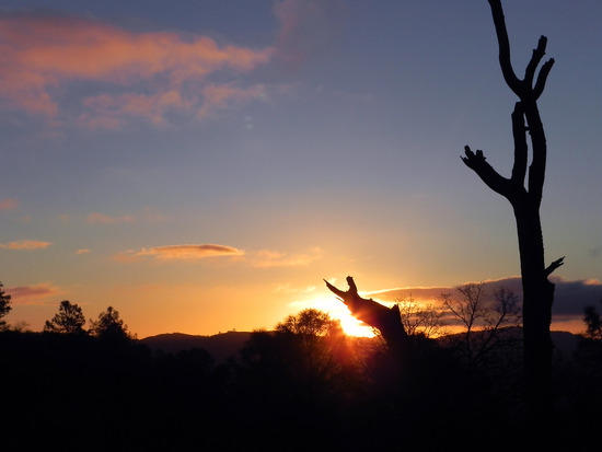 Sunday Sunrise