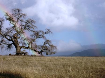Double Rainbow
