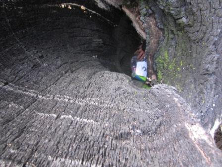 Geocache