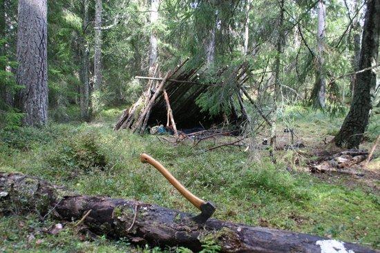 Bushcraft lean-to