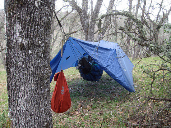 Blue Tarp & Hammock