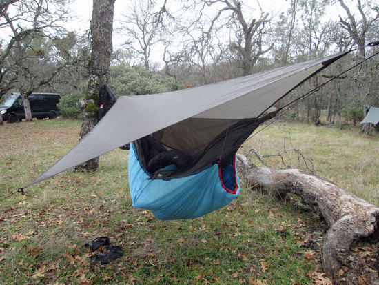 Another Trap and Hammock