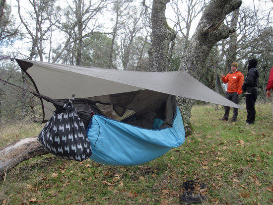 Another Trap and Hammock 2