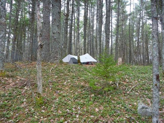 Grace Duo and Serenity Shelter
