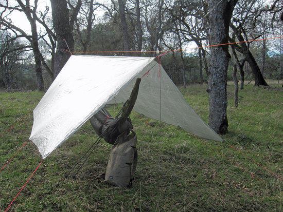 Plenty of Good Trees Around for Hammocking