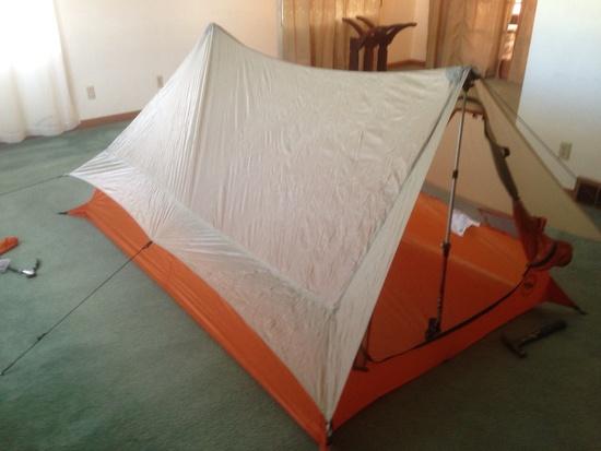 Scout 1