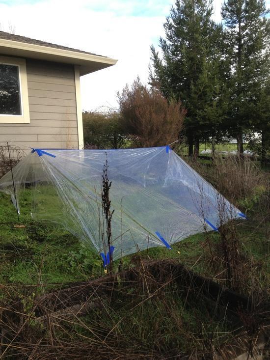 Torture-testing Polycryo Tarp