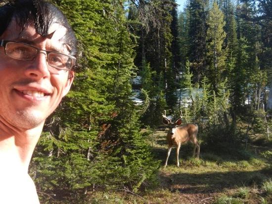 deer2