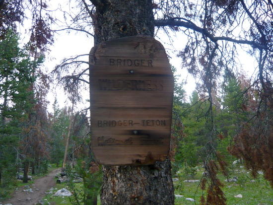 Wilderness Sign