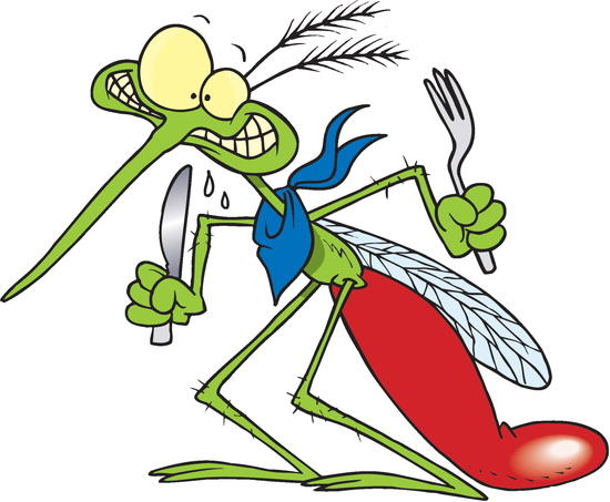 skeeter