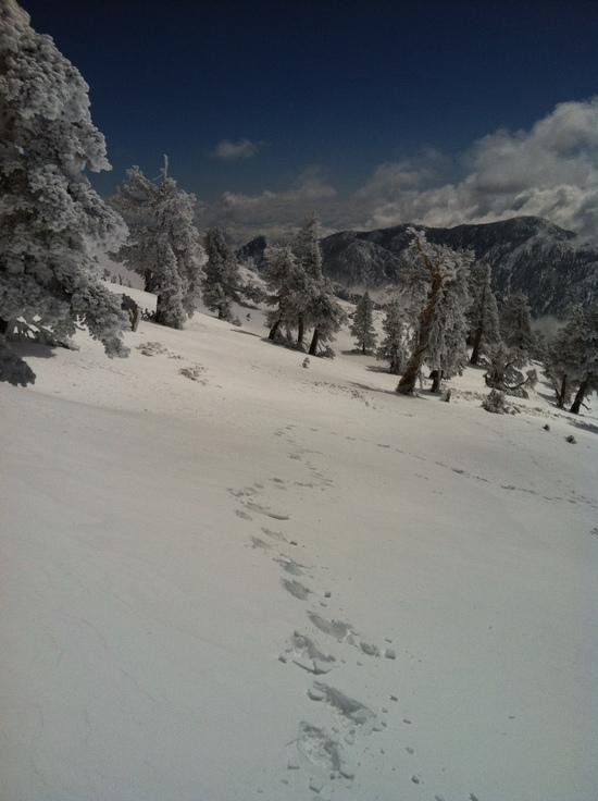 Tracks