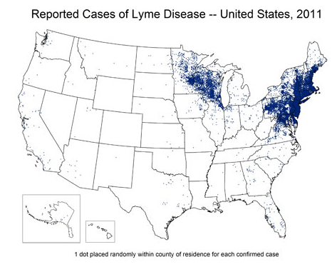 CDC Reported Incidence of Lyme Disease