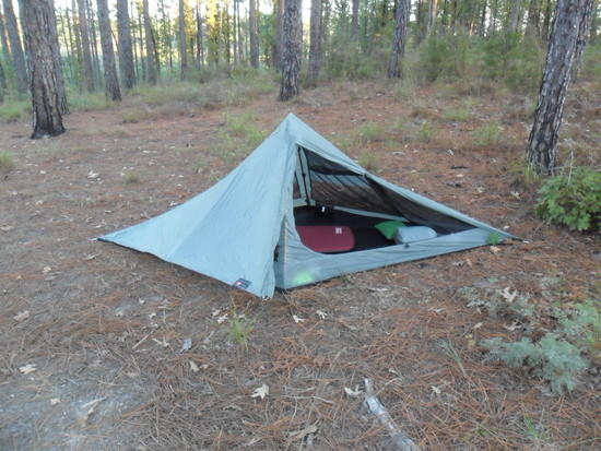 Solo at Kisatchie