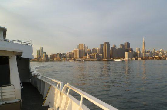 MarinFixed-2