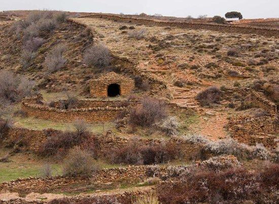 Farmer's Hut
