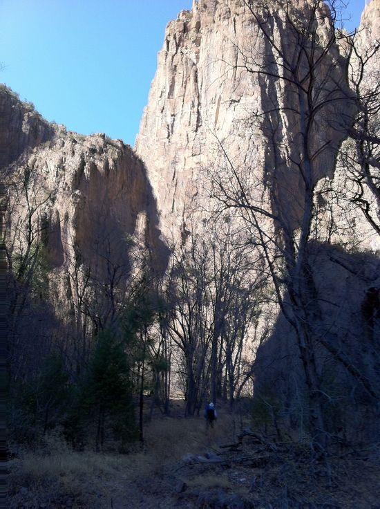 Gila cliff scale