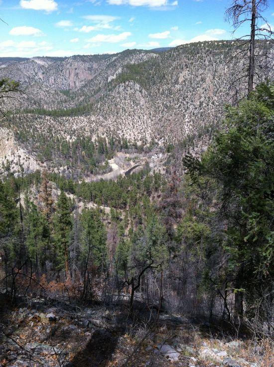 View of Meadows 500 ft