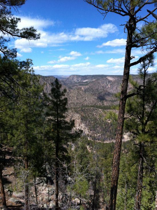 Meadows at 1000 ft