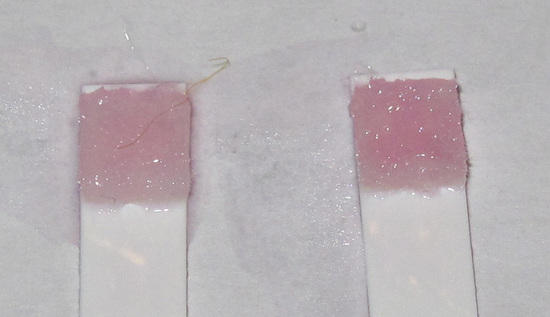 CLO2 test strips (08)