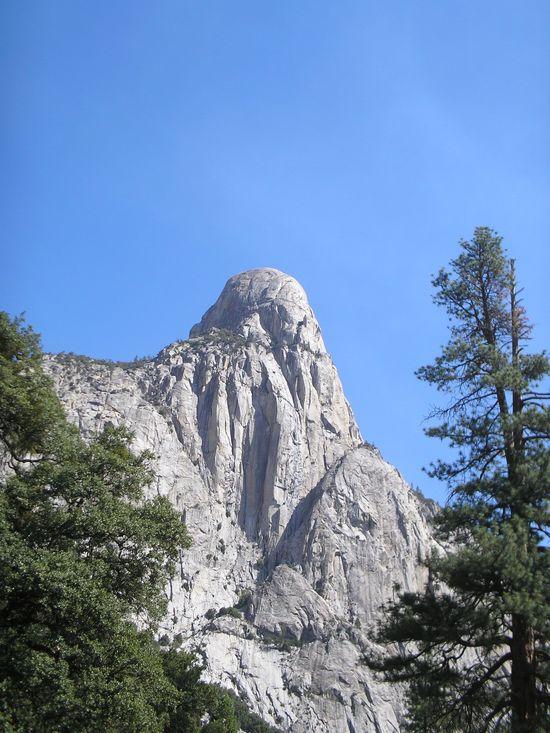 6559