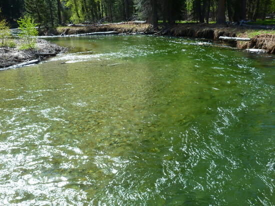 Woods Creek
