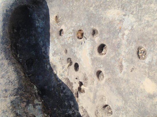 cool acorn grinding areas abound
